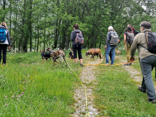 Passeggiate in montagna con il tuo cane ed.2025